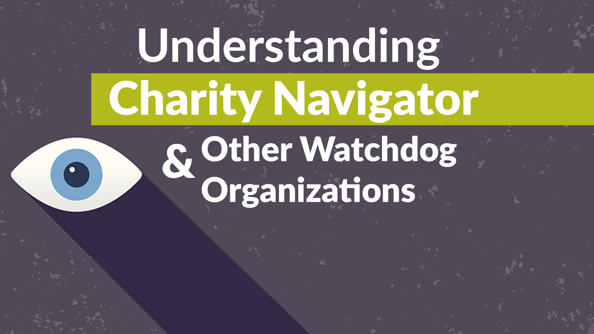 Charity Navigator And Other Watchdog Organizations Thumbnail