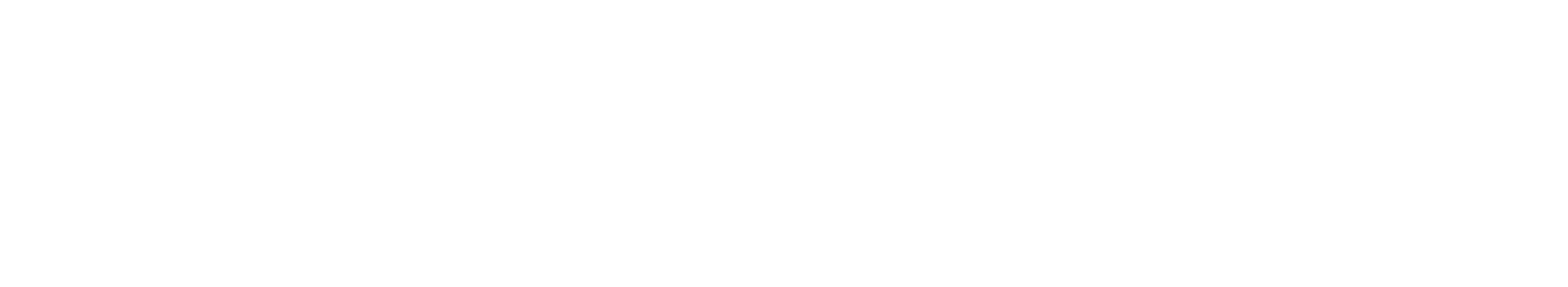 Logo 2024 White